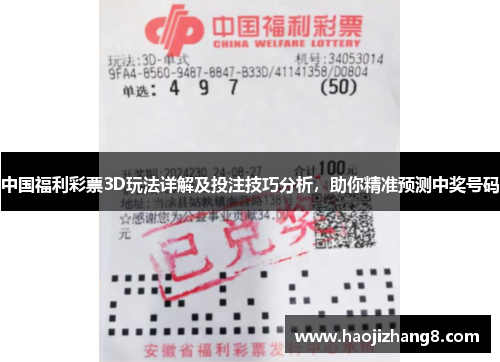 中国福利彩票3D玩法详解及投注技巧分析，助你精准预测中奖号码