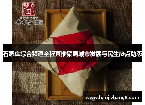 石家庄综合频道全程直播聚焦城市发展与民生热点动态