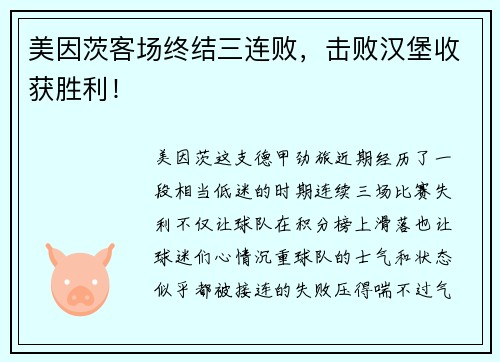 美因茨客场终结三连败，击败汉堡收获胜利！